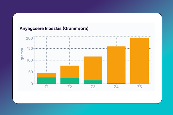 Critical Power és aerob teszt – illusztráció 4.
